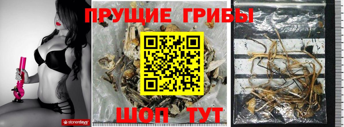 Галлюциногенные грибы мицелий Сергиев Посад